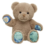 Well Wishes Teddy Bear | Build-A-Bear® - US 6021