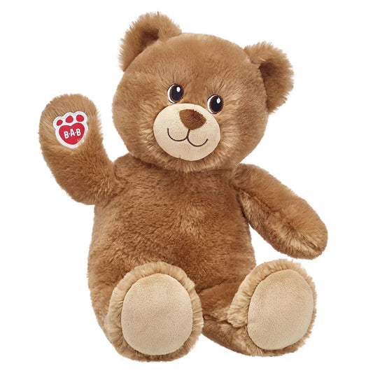 Lil' Cub® Brownie Teddy Bear "Get Well Soon" Gift Set | Build-A-Bear® - US 8306