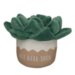 HB GET WELL PLANT - US 7739