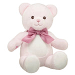 Baby Pink Teddy Bear with Gifting Bow | Build-A-Bear® - US 0240