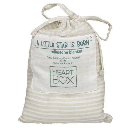 Monthly Milestone Baby Blanket | Build-A-Bear® - US 0203