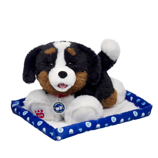 Promise Pets Bernese Mountain Dog Stuffed Animal w/ Blue Bed | Build-A-Bear - US 0048