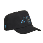 Carolina Panthers Fan Hat for Stuffed Animals - US 4015