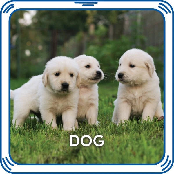 Puppy 5-in-1 Sound for Stuffed Animals | Build-A-Bear® - US 3146
